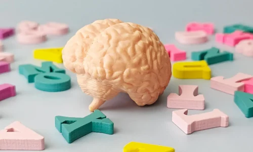 Multilingual people may have brains up to 13 years younger