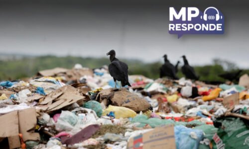 Perguntas da semana trazem dúvidas relacionadas a problemas ambientais