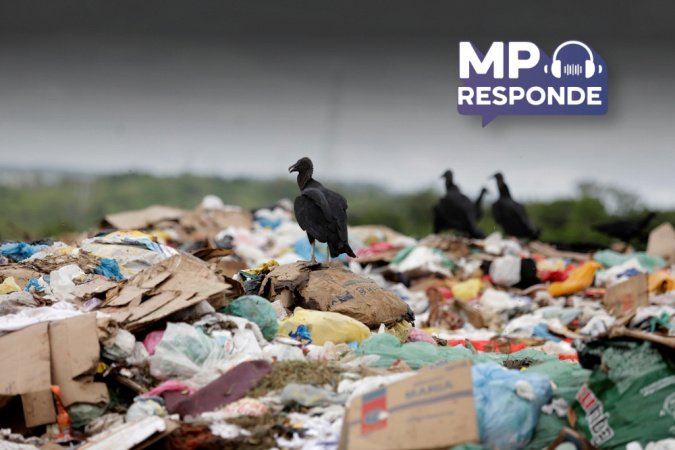 Perguntas da semana trazem dúvidas relacionadas a problemas ambientais
