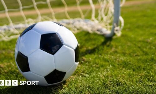 Puebla vs Santos Laguna: Liga MX stats & head-to-head