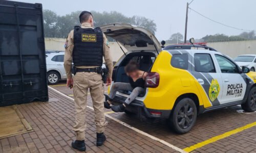 Venezuelana é detida após tentar bloquear rua com galhos de árvore em Cascavel