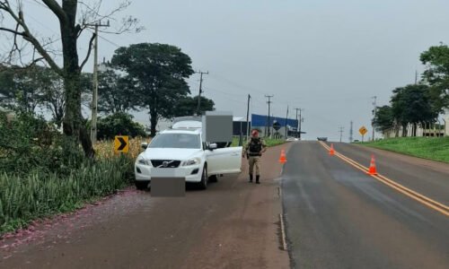 CGN - Últimas notícias de Cascavel, Paraná e Brasil