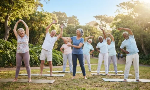 Grupo de idosos fazendo alongamentos ao ar livre em parque verde