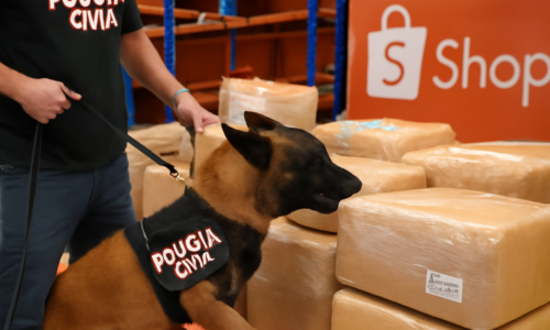 Cão farejador Polícia Civil próximo a caixas no CDD da Shopee em Cascavel