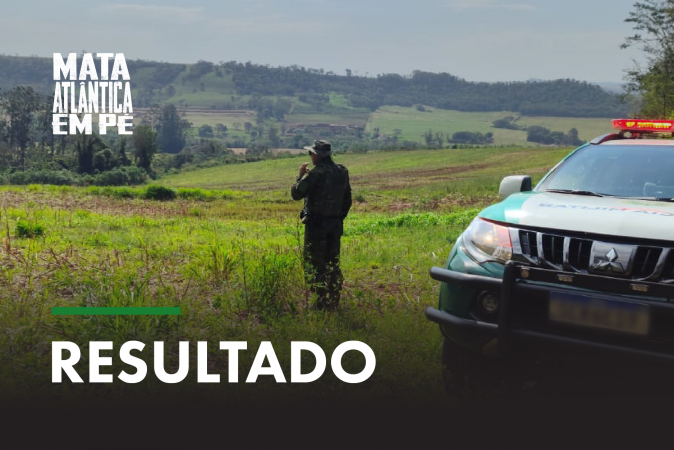 Edição de 2026 da operação é concluída no Paraná com a fiscalização de 2 mil hectares de áreas com desmatamento ilegal